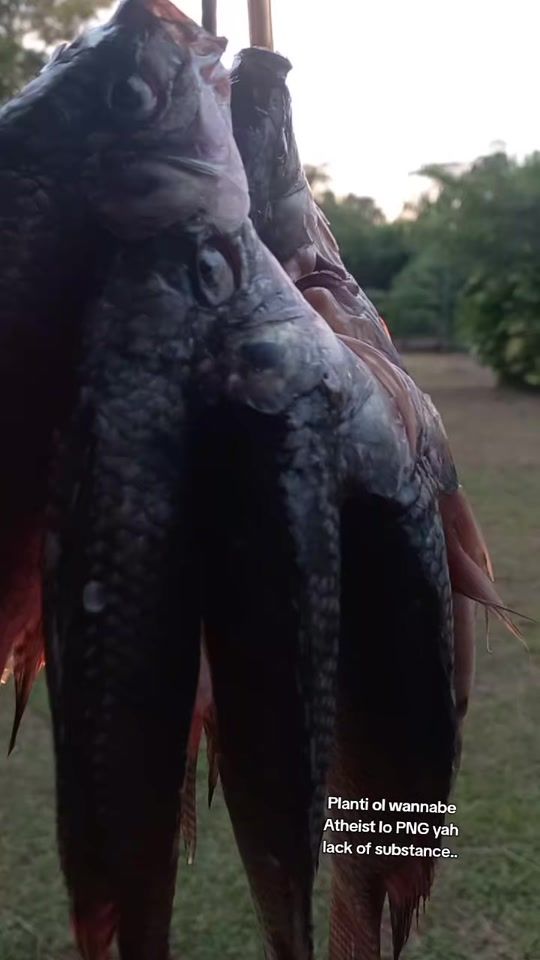 TikTok video thumbnail by plesmarhnfarmer