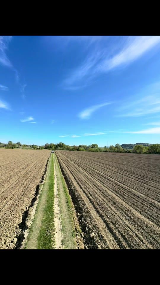 TikTok video thumbnail by agrimeta