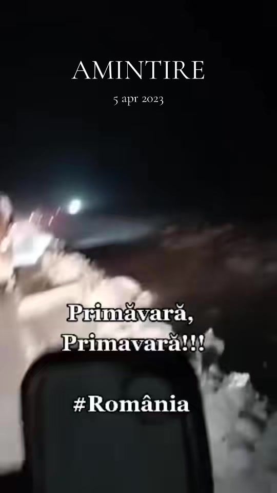 TikTok video thumbnail by luxtrans2