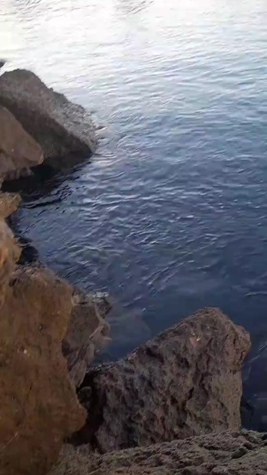 TikTok video thumbnail by asiaba