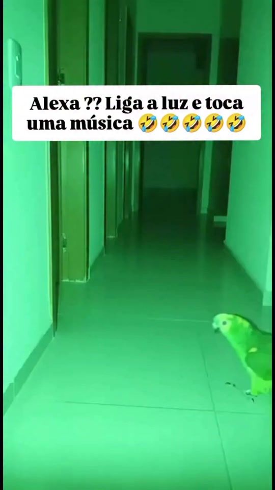 TikTok video thumbnail by ademir5000