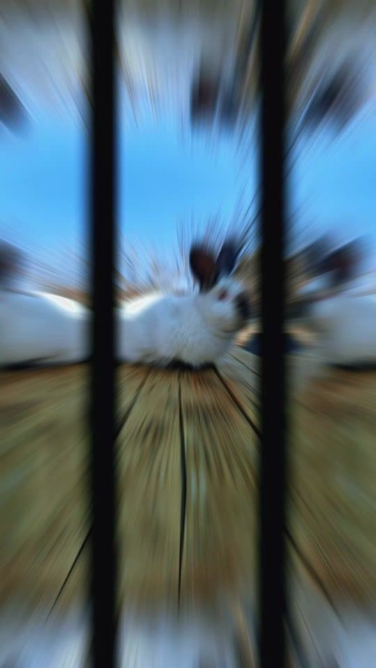 TikTok video thumbnail by roman23105