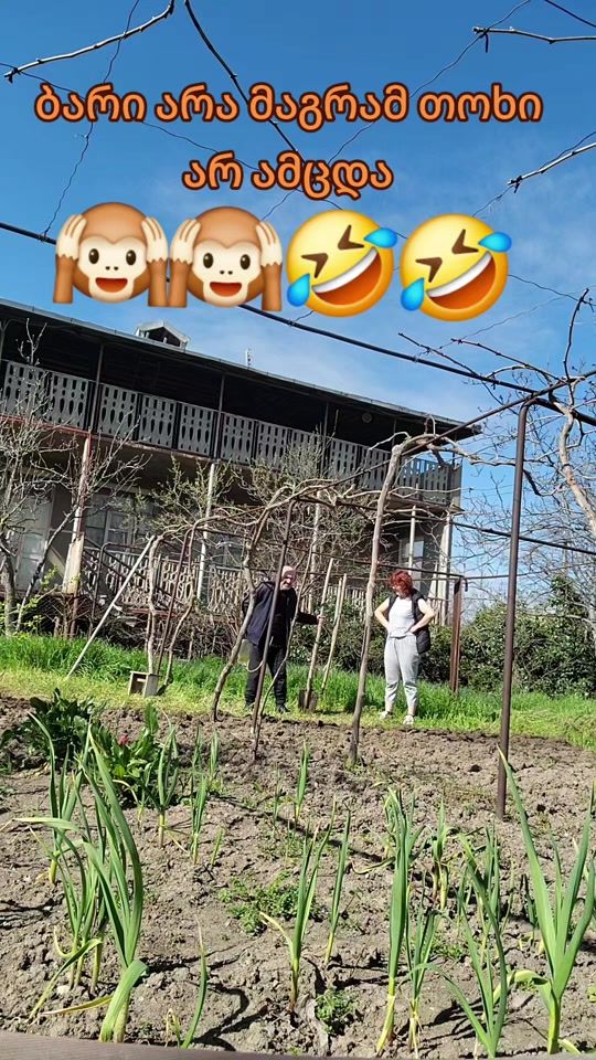 TikTok video thumbnail by tamuna_talala