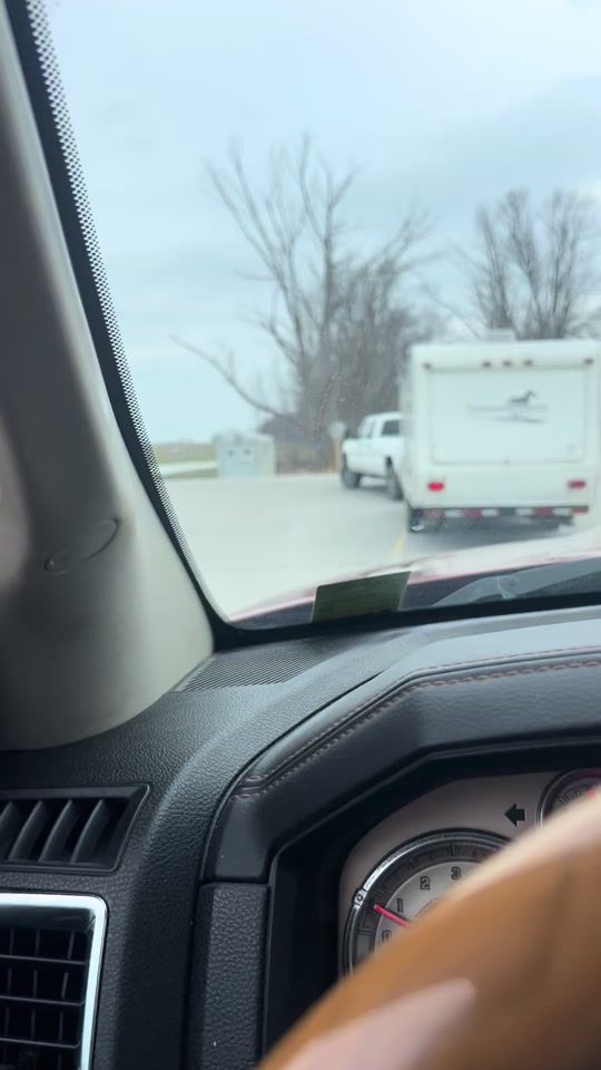 TikTok video thumbnail by sundownspecshomestead
