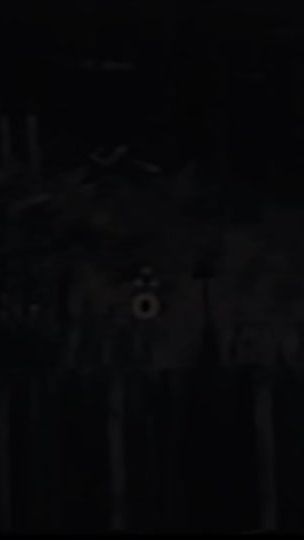 TikTok video thumbnail by __paikidze__