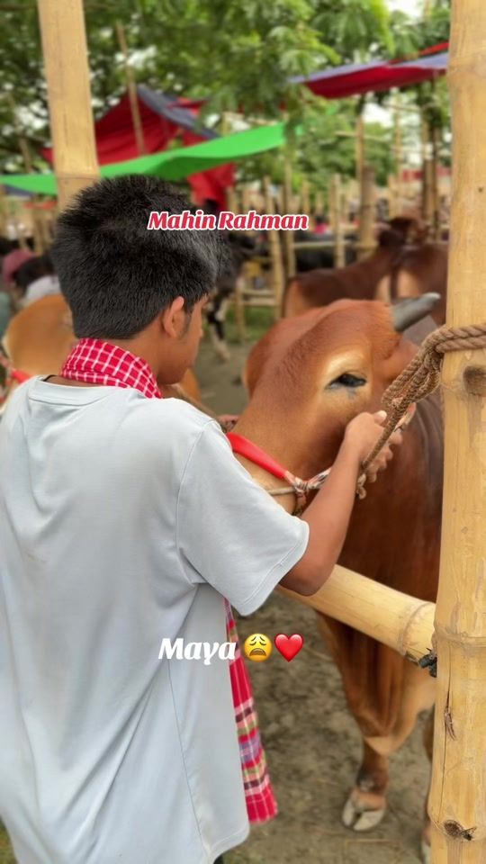 TikTok video thumbnail by mahin_rahman_4