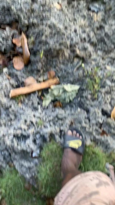 TikTok video thumbnail by hailieww