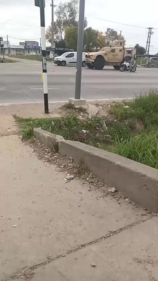 TikTok video thumbnail by elpeluca2017