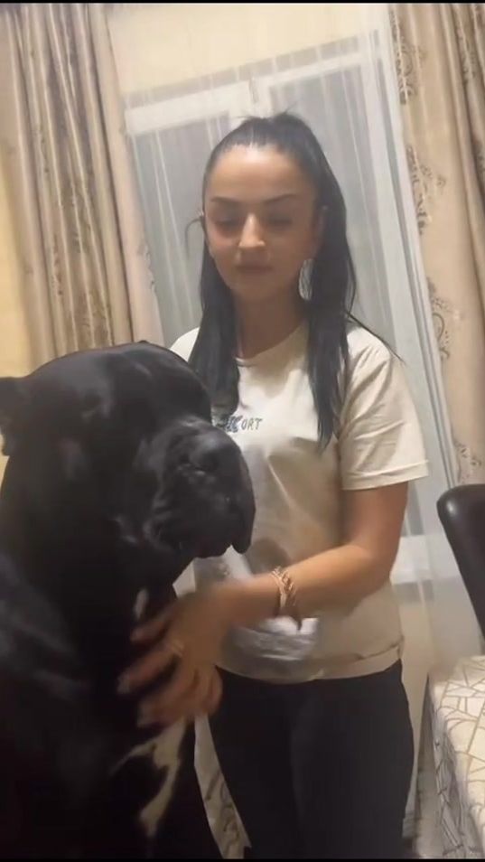 TikTok video thumbnail by c.zoidze