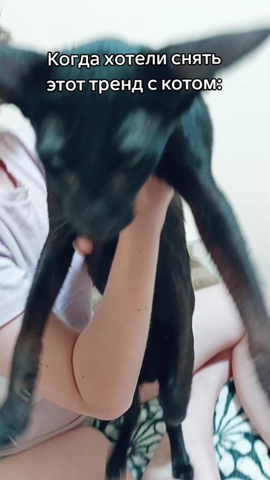 TikTok video thumbnail by paintbrawlstarts