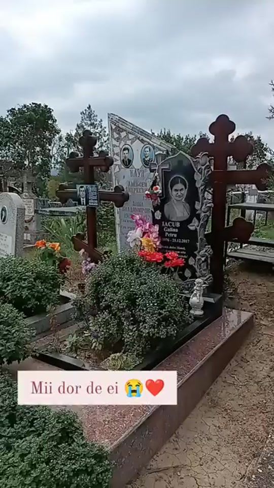 TikTok video thumbnail by cornos_andreea