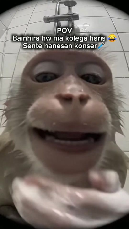 TikTok video thumbnail by vythooji