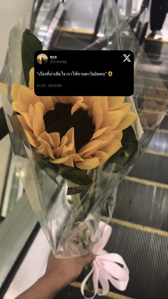 TikTok video thumbnail by sklp.pj
