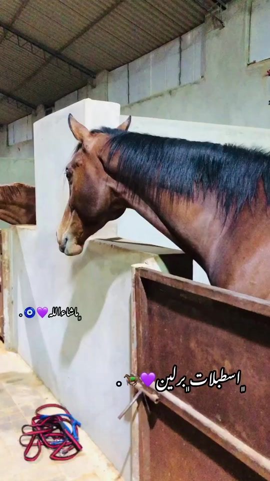 TikTok video thumbnail by maria09ab