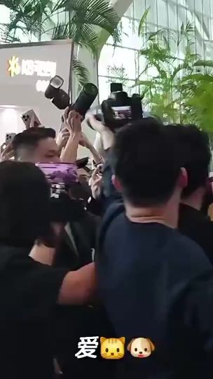 TikTok video thumbnail by pjminholic