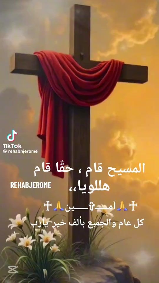 TikTok video thumbnail by bibiassaad