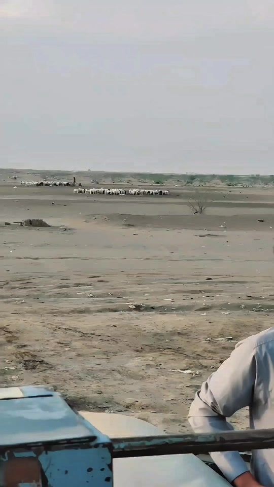 TikTok video thumbnail by halayam.mubark404