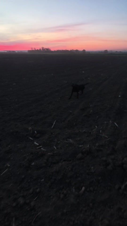 TikTok video thumbnail by goran.jevti