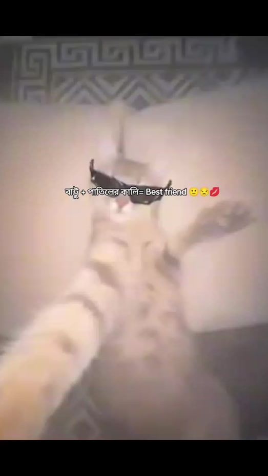 TikTok video thumbnail by .samiramafi216