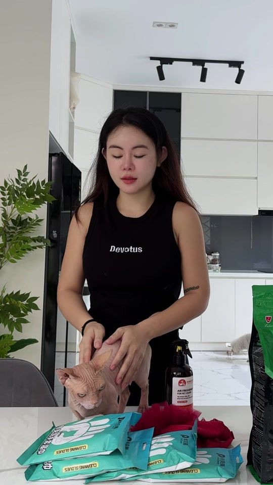 TikTok video thumbnail by truybaphiulo