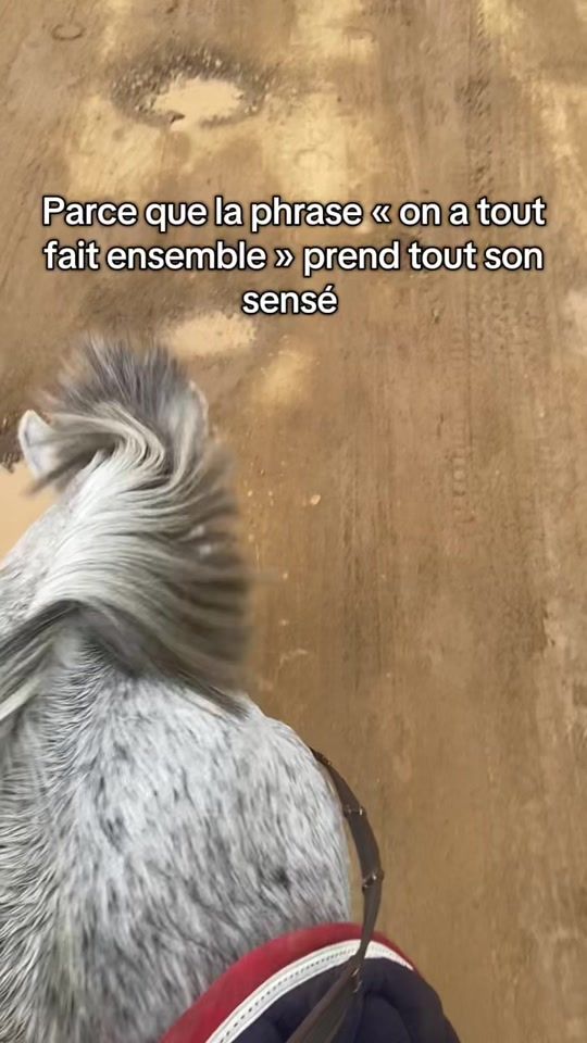 TikTok video thumbnail by charlie_foudre5
