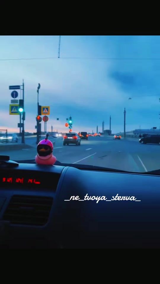 TikTok video thumbnail by _ne_tvoya_sterva