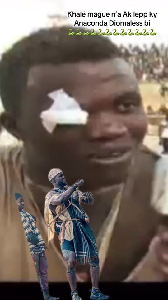TikTok video thumbnail by fallou_bou_anaconda