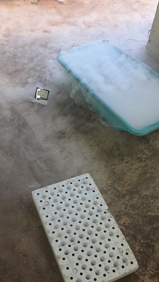 TikTok video thumbnail by erjon__automatic