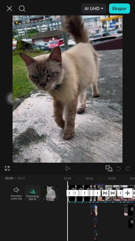TikTok video thumbnail by maisyur_04