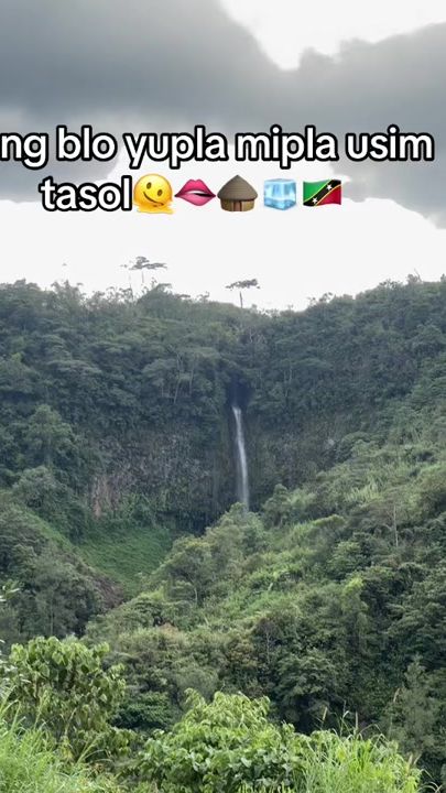 TikTok video thumbnail by pupaiambo