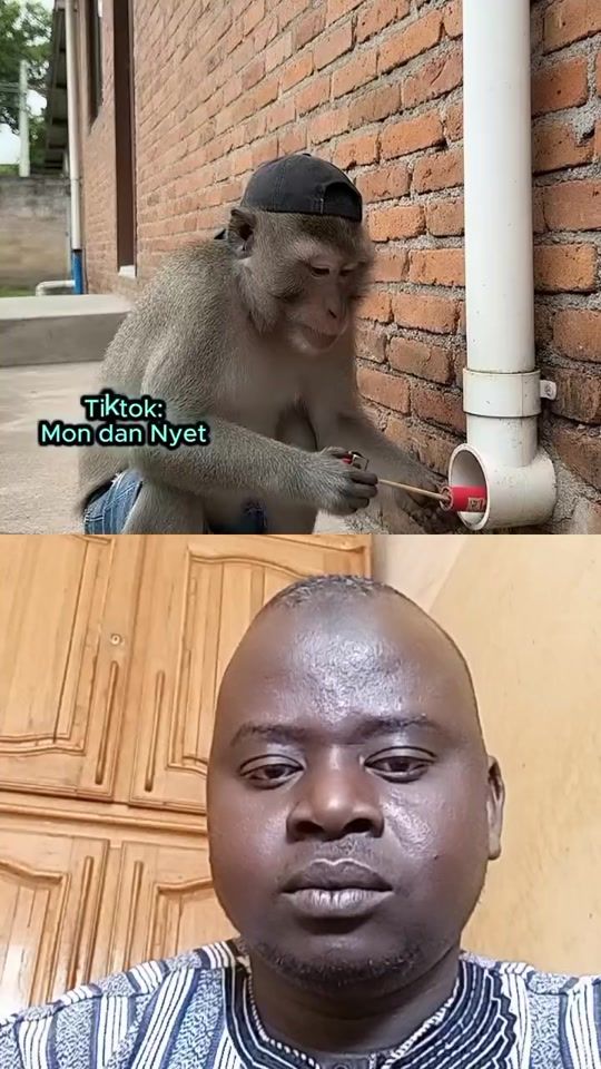 TikTok video thumbnail by possoganame