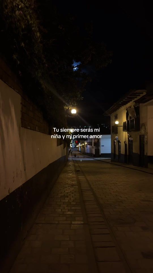 TikTok video thumbnail by lealzp_