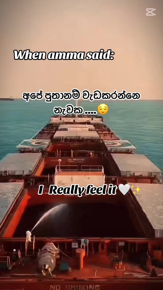 TikTok video thumbnail by sailor_sithum