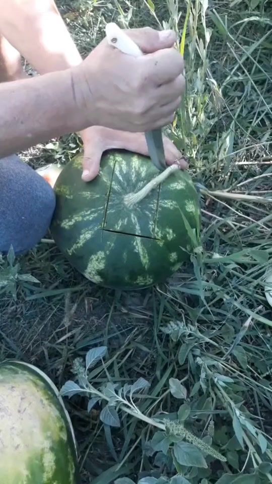 TikTok video thumbnail by turgut_sevim_comlek