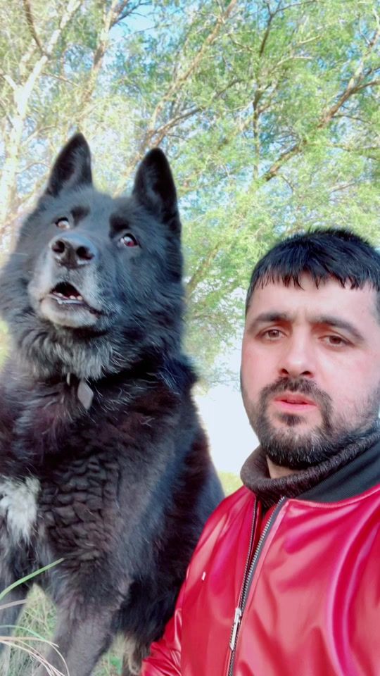 TikTok video thumbnail by serkanterzi0