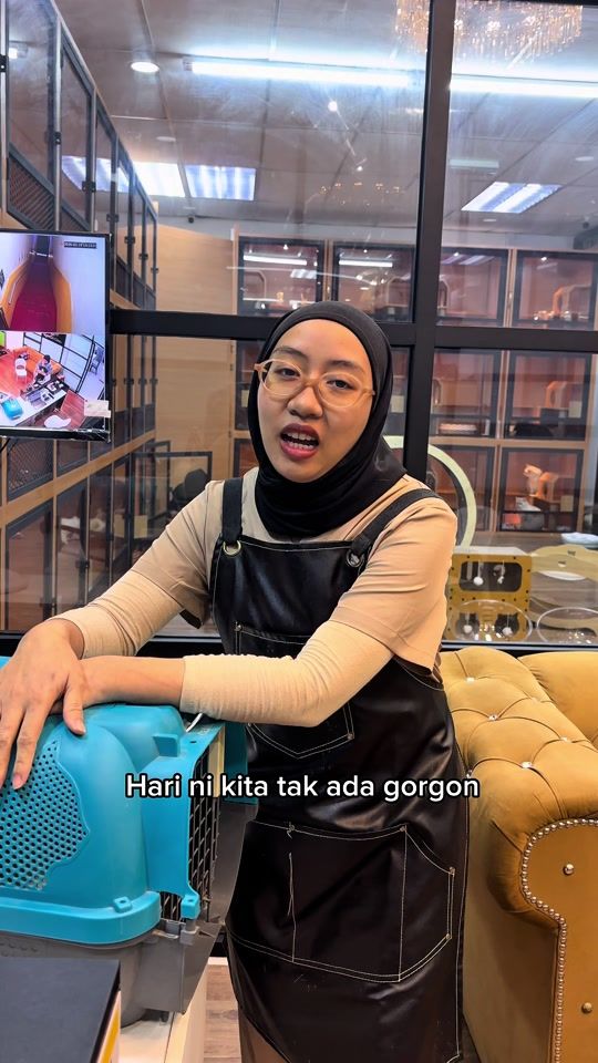 TikTok video thumbnail by kaka.cat.house
