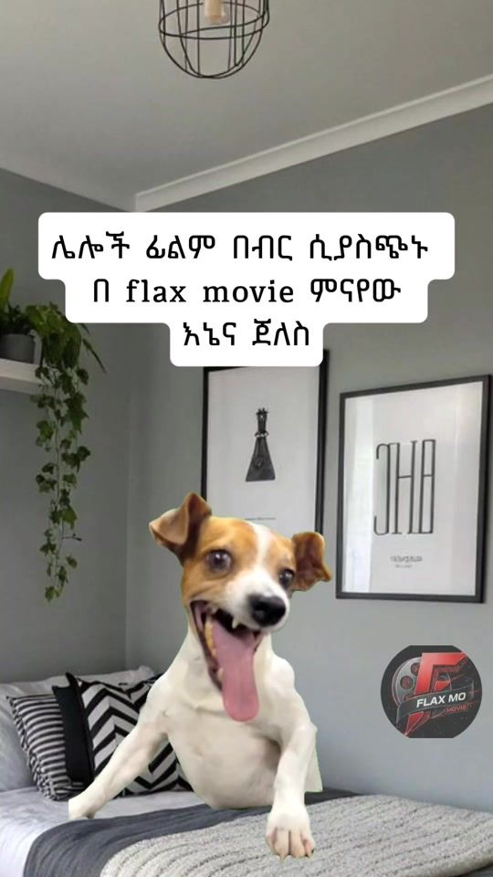 TikTok video thumbnail by sekokaw_meme