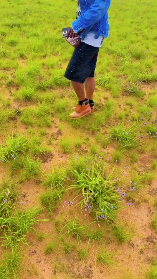TikTok video thumbnail by delly.peck.musici