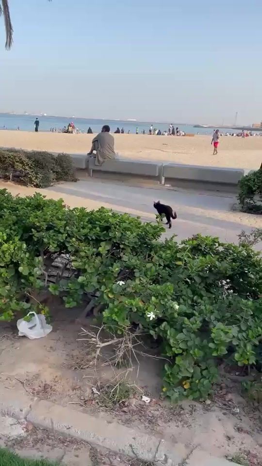 TikTok video thumbnail by fathima8672