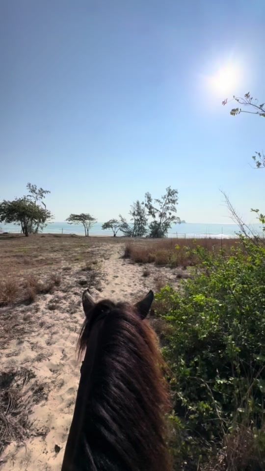 TikTok video thumbnail by k.soups