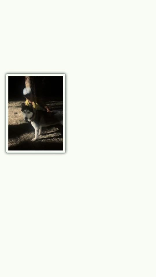 TikTok video thumbnail by yaya_la_peste