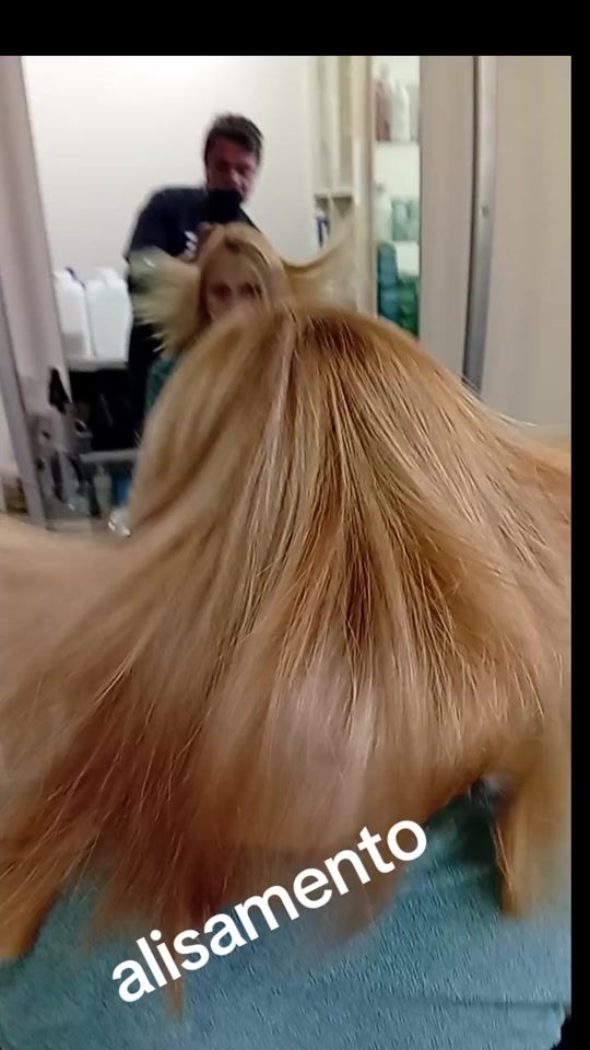 TikTok video thumbnail by ismaelsilva00