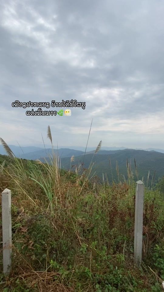 TikTok video thumbnail by user259800