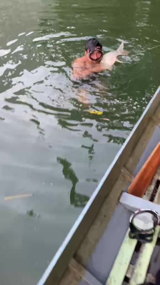 TikTok video thumbnail by pvd241894