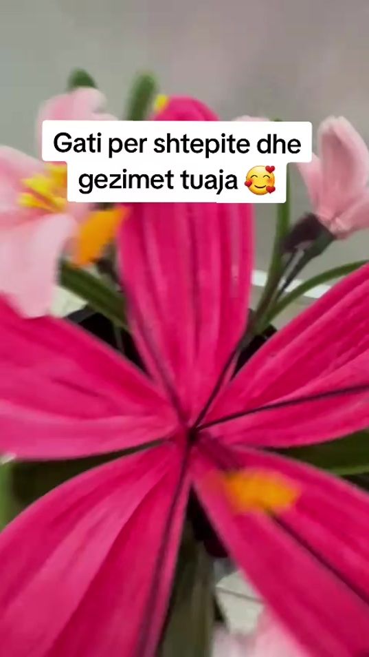 TikTok video thumbnail by nadasbloom