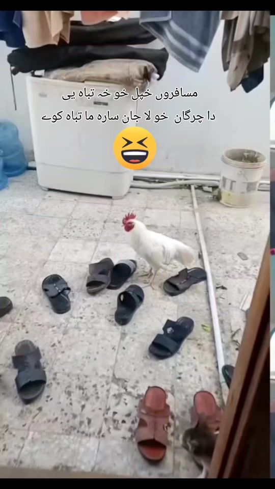 TikTok video thumbnail by jamalkhanmahsood