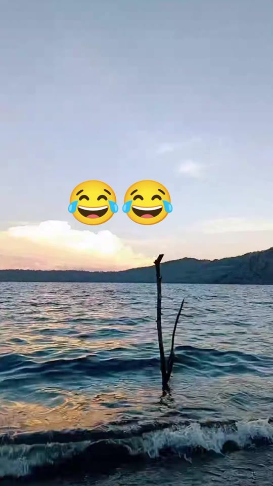 TikTok video thumbnail by .melvi505