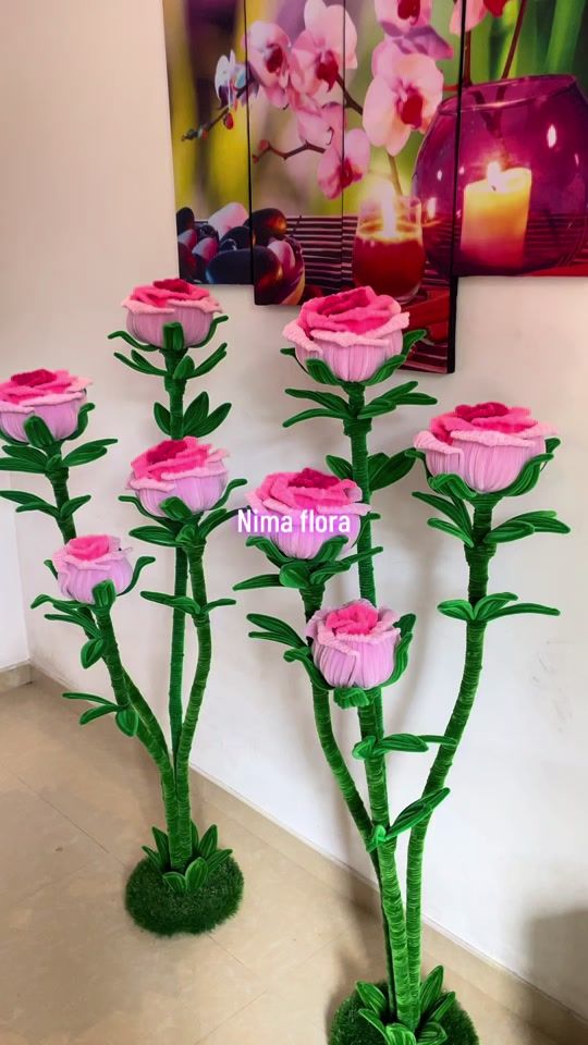 TikTok video thumbnail by nimaflora
