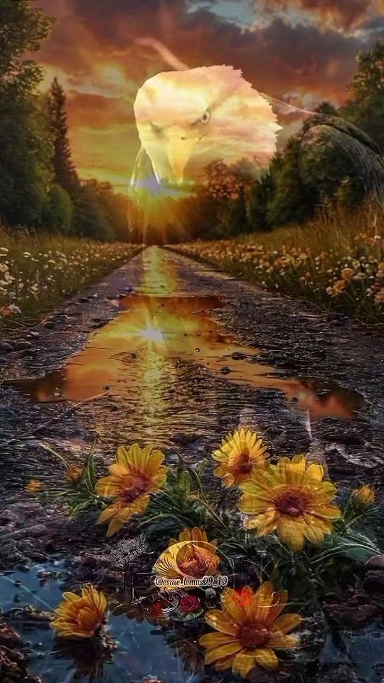 TikTok video thumbnail by mely53721