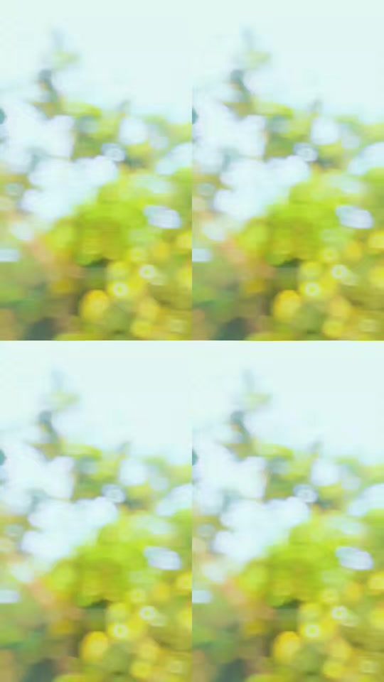 TikTok video thumbnail by sk_____sk01